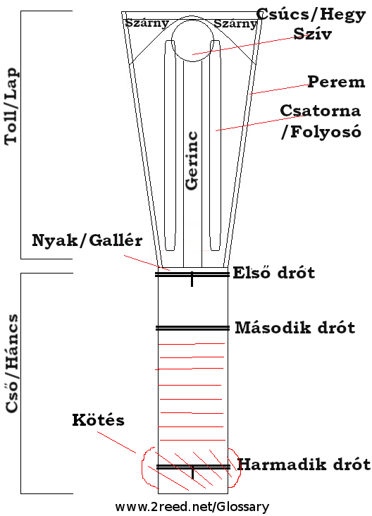 Magyar (Hungarian)