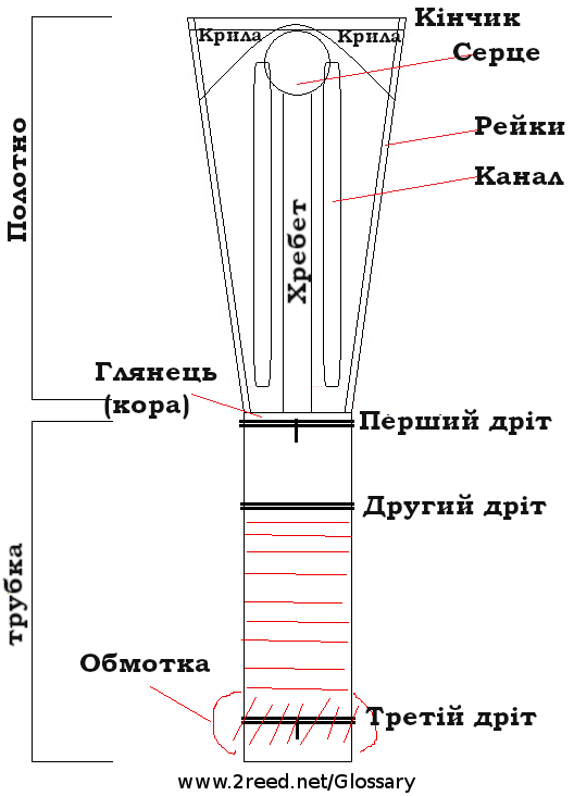 Ukrainian Reed Terms