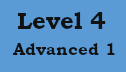 Level 4