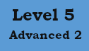 Level 5